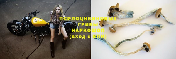 сатива Балахна