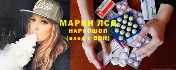 сатива Балахна